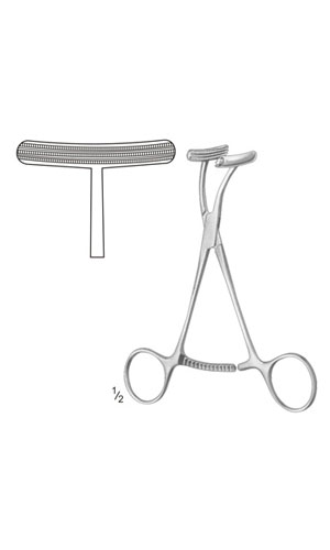 Scalp Clamp